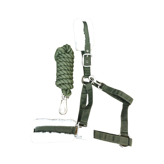 Olive Green Headstall and Lead